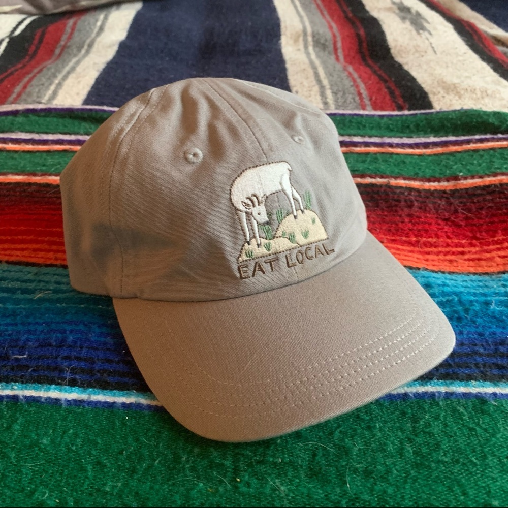 Patagonia Baseball Hat